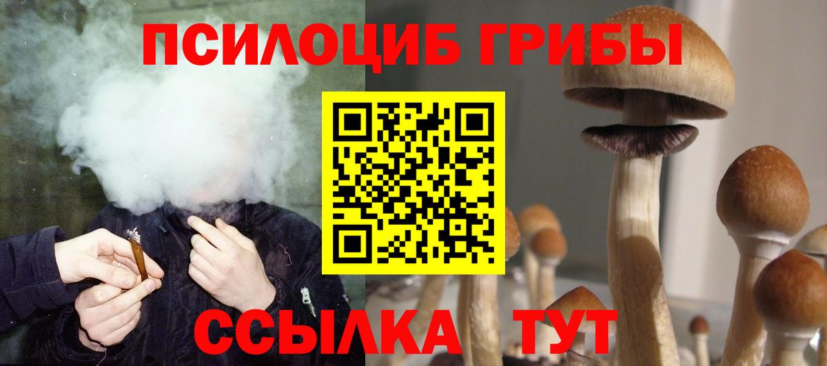 Галлюциногенные грибы прущие грибы  Вход с VPN  Красноуфимск 